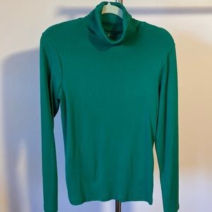 J. Crew Perfect Fit Turtleneck